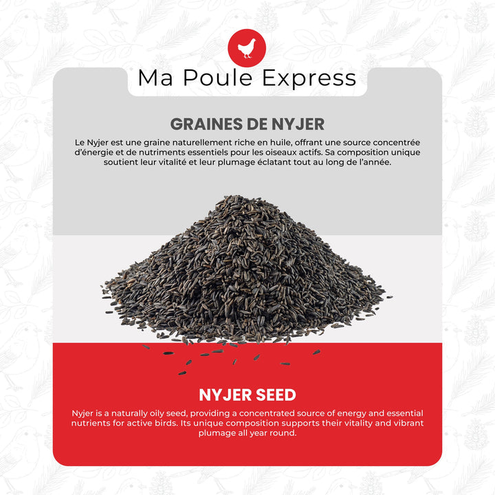 Graines de Nyjer Noires – Nourriture Premium pour Oiseaux Granivores (1 kg / 5 lbs) - Ma Poule Express