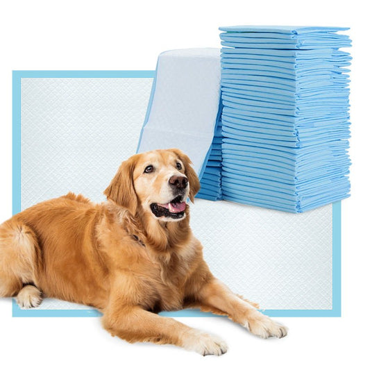 Grands tapis de propreté pour chiens - Ma Poule Express