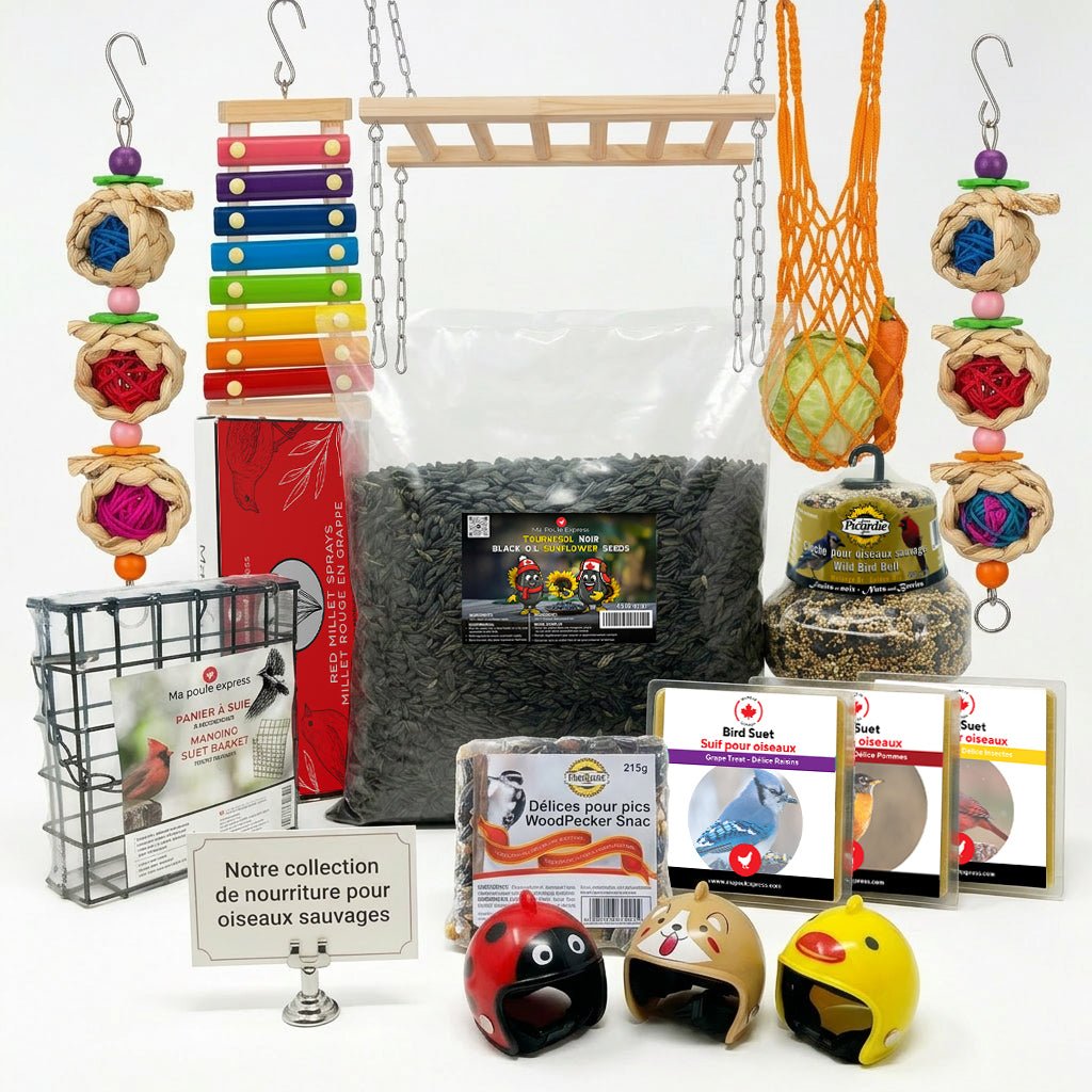 Havre d’oiseaux – Ensemble Complet Tout Inclus - Ma Poule Express