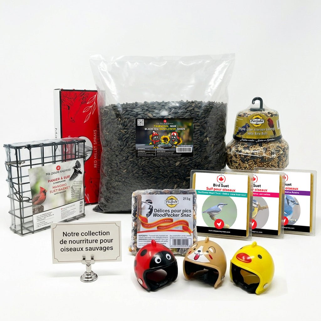 Havre d’oiseaux – Ensemble Complet Tout Inclus - Ma Poule Express