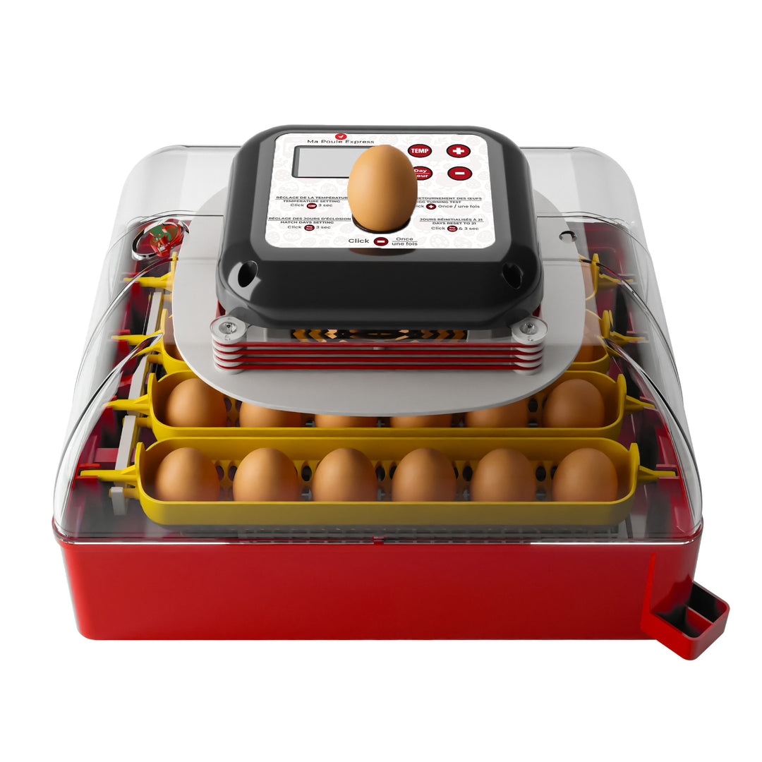 Couveuse Œuf Automatique 56 Œufs - Retournement & Humidification Auto - Contrôle Température & LED - Polyvalente Poule Canard Oie Caille
