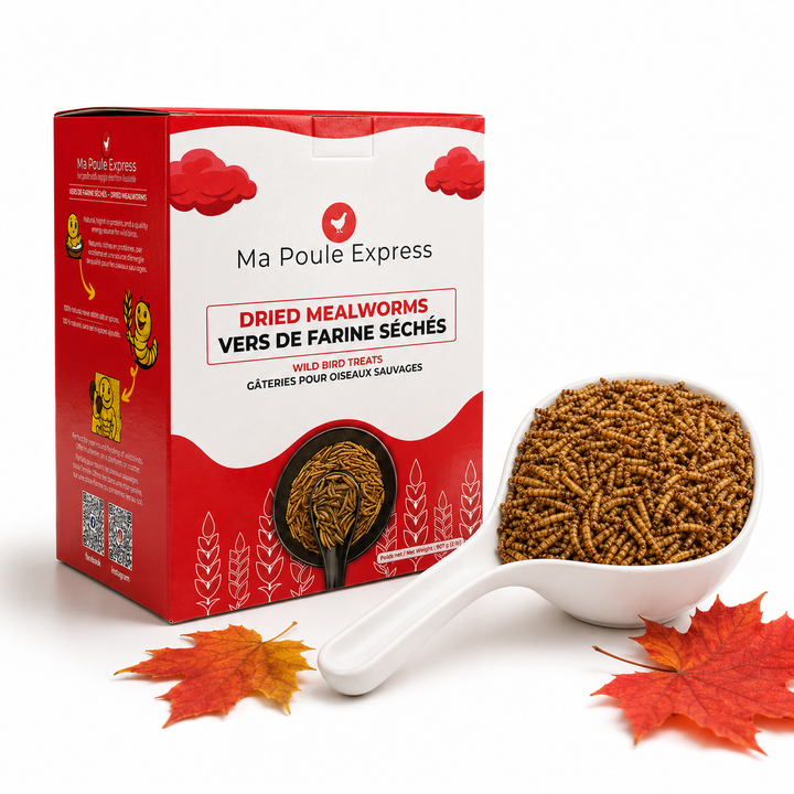 Vers de farine séchés 8 oz (227 g) – Petit format | Ma Poule Express