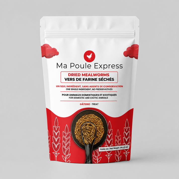 Vers de farine séchés 2 oz (56 g) – Format découverte | Ma Poule Express