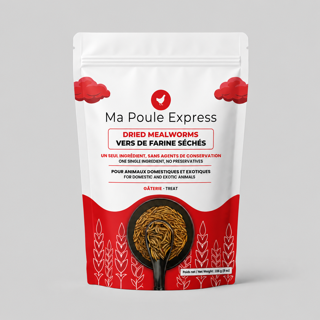 Vers de farine séchés 8 oz (227 g) – Petit format | Ma Poule Express