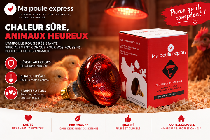 Ampoule résistante aux chocs - 250 W