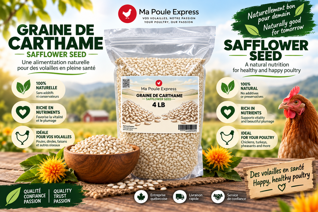 Graines de Carthame