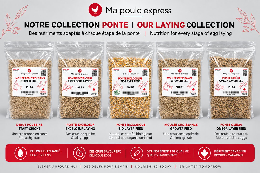 Moulée pour Poules et Poussins – 5 Formules au Choix | Sac de 10 lb