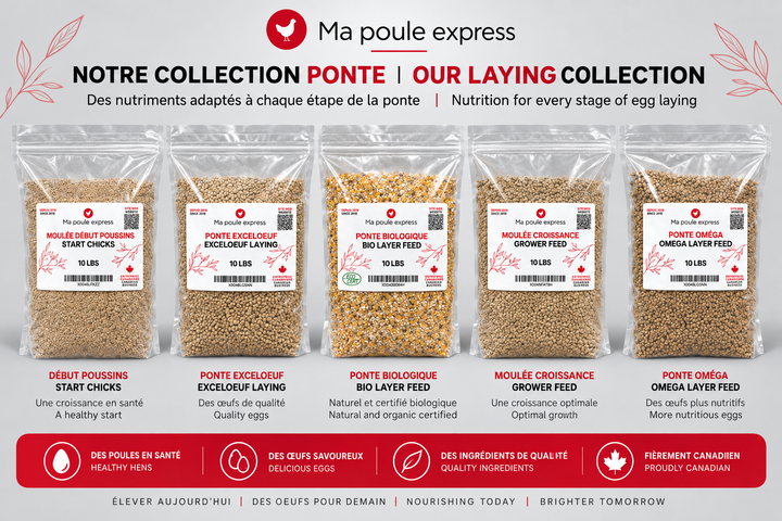 Moulée pour Poules et Poussins – 5 Formules au Choix | Sac de 10 lb