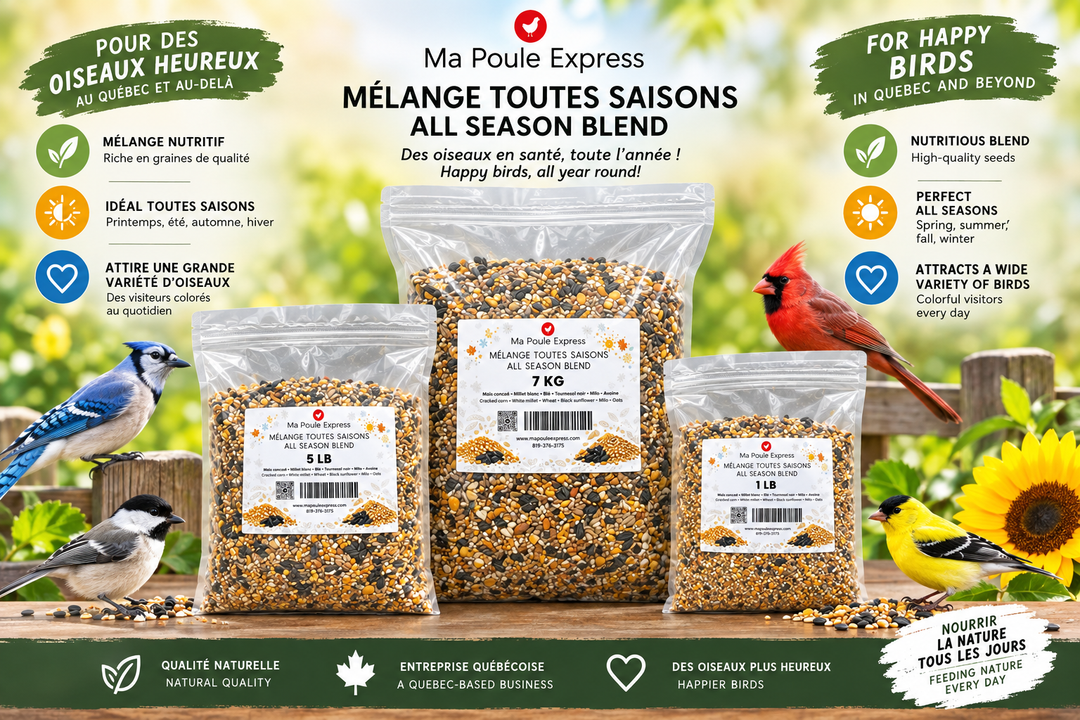 Mélange Toutes Saisons - Oiseaux Sauvages