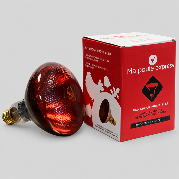 Ampoule résistante aux chocs - 250 W