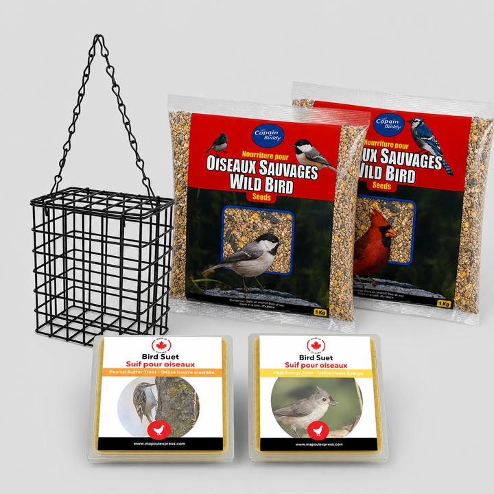 Combo Oiseaux Sauvages – Graines, Suif et Mangeoire | Offre d’Août