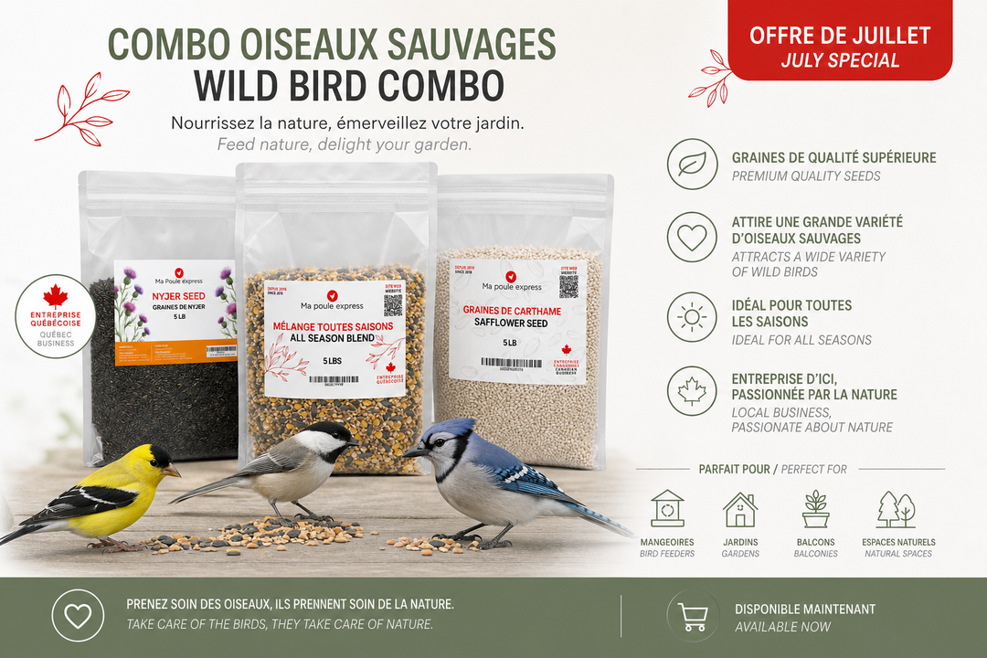 Combo Oiseaux Sauvages – 3 Mélanges de Graines Premium 5 lb | Offre de Juillet