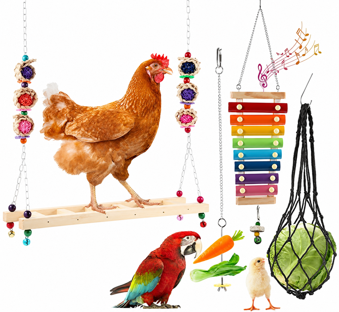 Jouets d'Enrichissements - Ma Poule Express