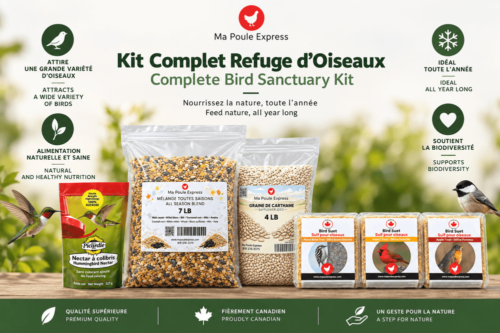 Kit Complet "Refuge d’Oiseaux" – Gâteries et Graines pour Oiseaux Sauvages - Ma Poule Express