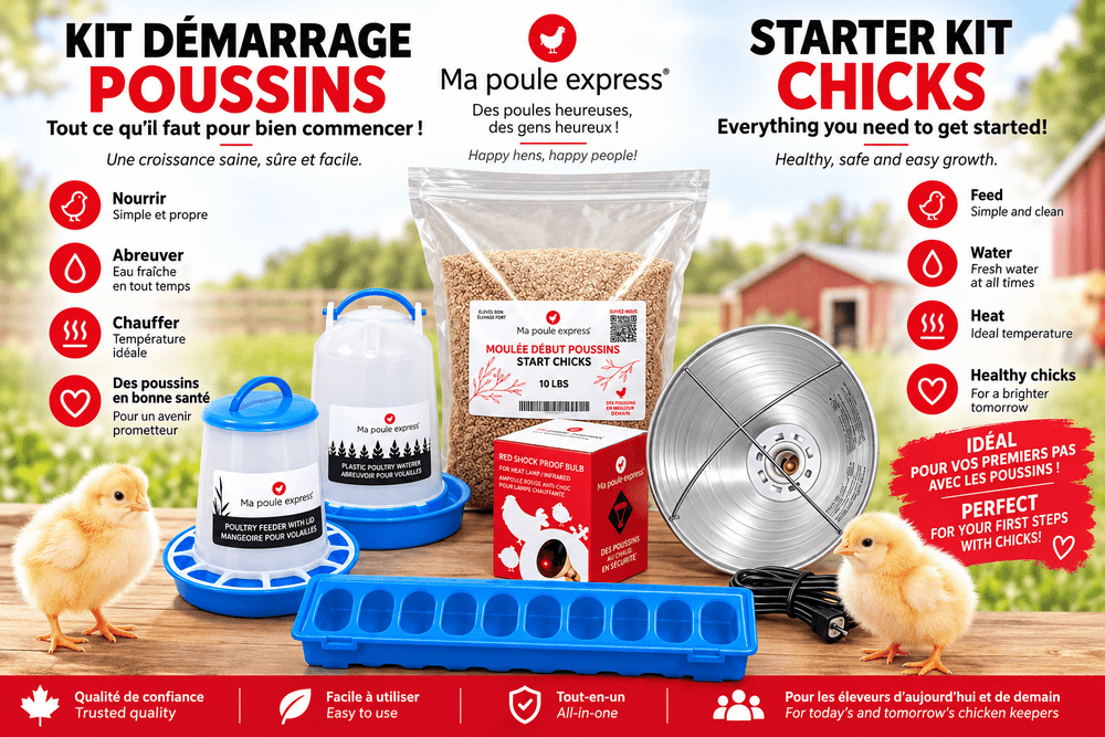 Kit d'Élevage pour Poussins Complet - Ma Poule Express™ - Ma Poule Express
