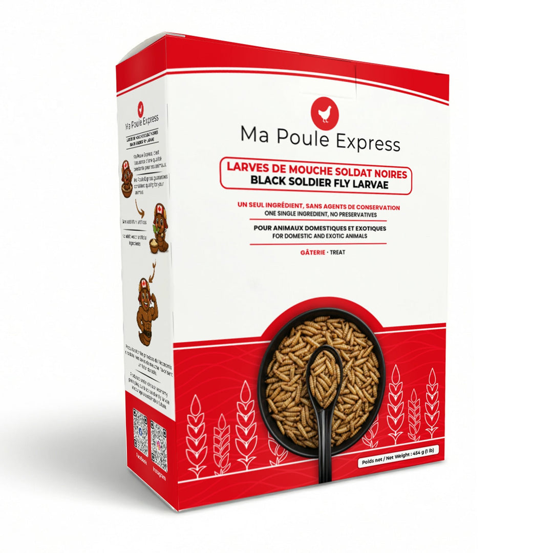 Larves de mouche soldat noire séchées 1 lb (454 g) – Format régulier - Ma Poule Express
