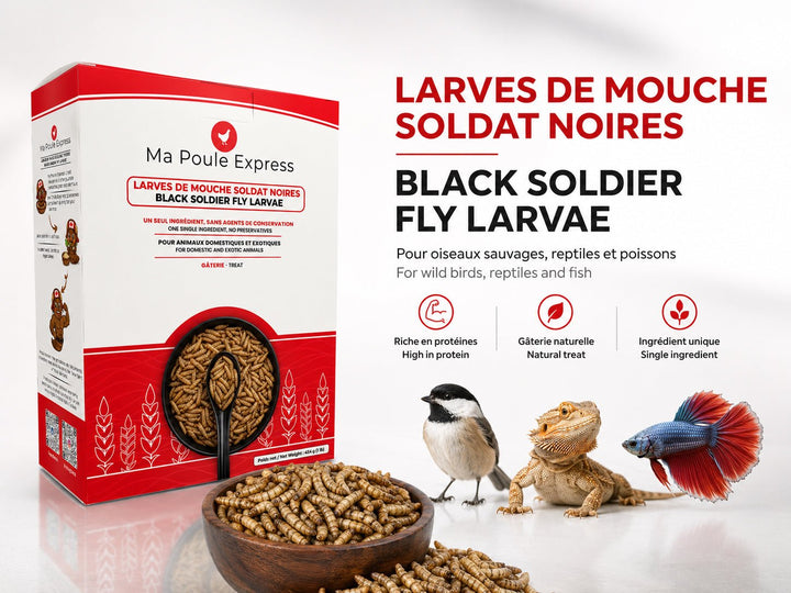 Larves de mouche soldat noire séchées 66 lb (30 kg) – Format vrac XXXL - Ma Poule Express