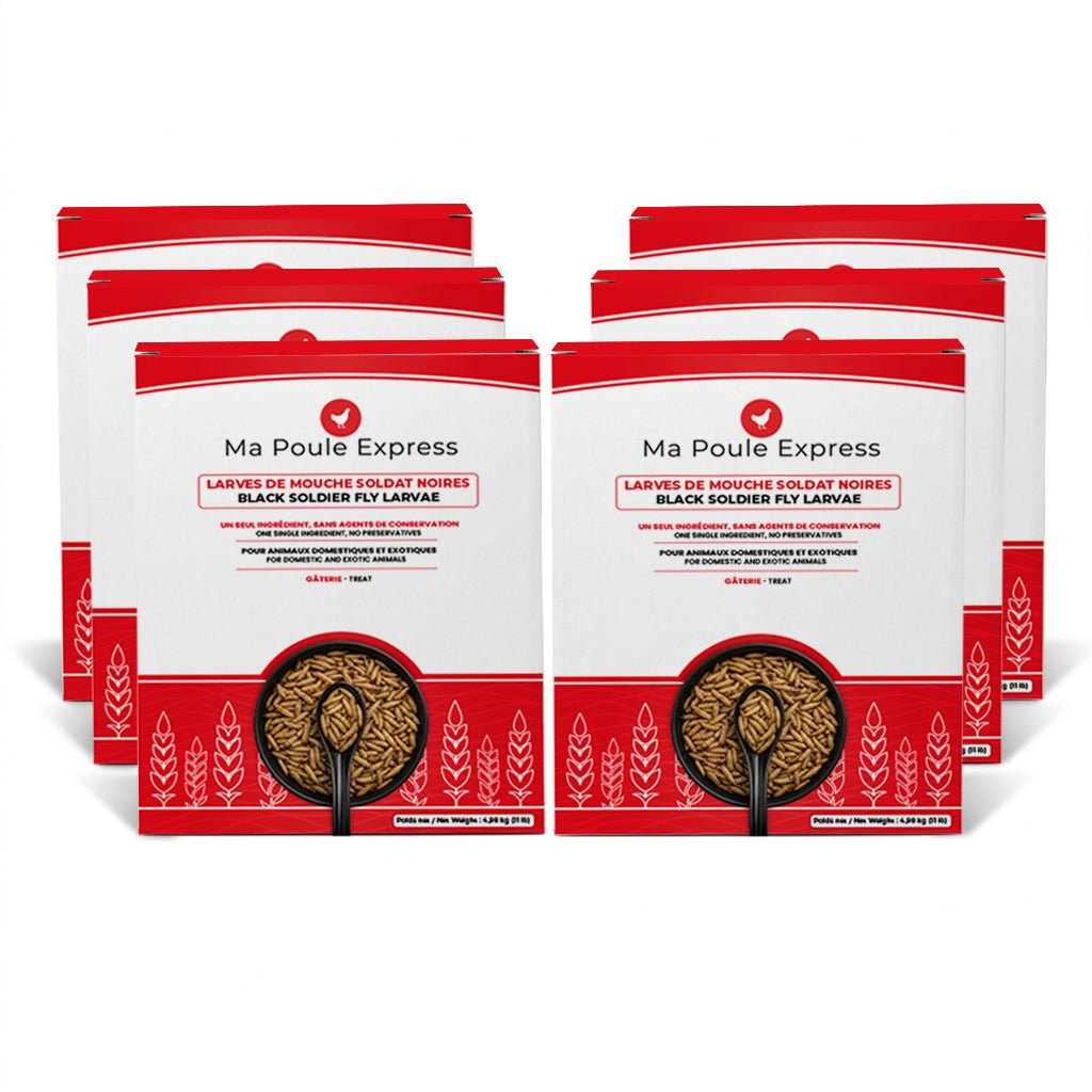 Larves de mouche soldat noire séchées 66 lb (30 kg) – Format vrac XXXL - Ma Poule Express