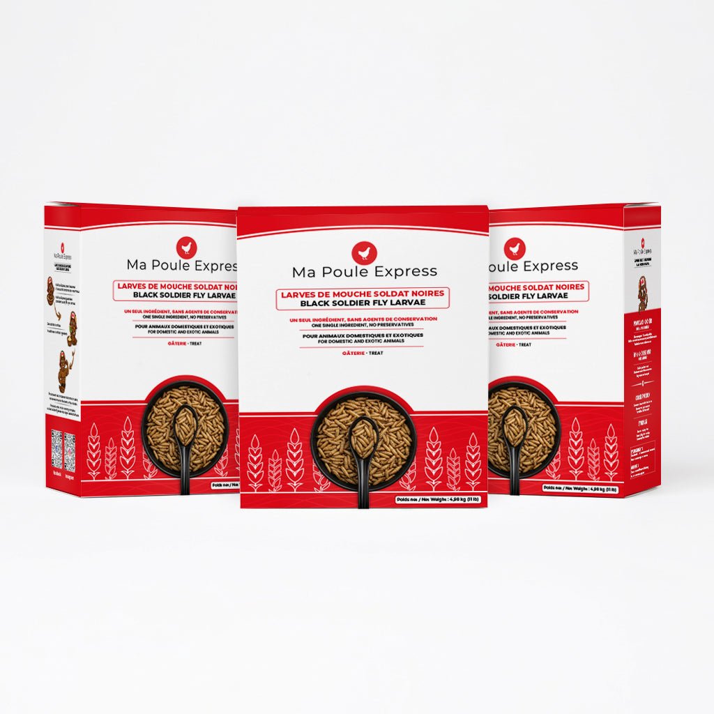 Larves de Mouche Soldat Noire Séchées - Ma Poule Express™ - Ma Poule Express
