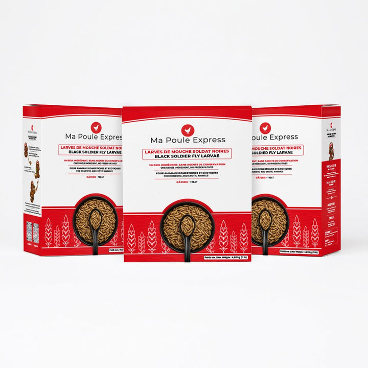 Larves de Mouche Soldat Noire Séchées - Ma Poule Express™ - Ma Poule Express