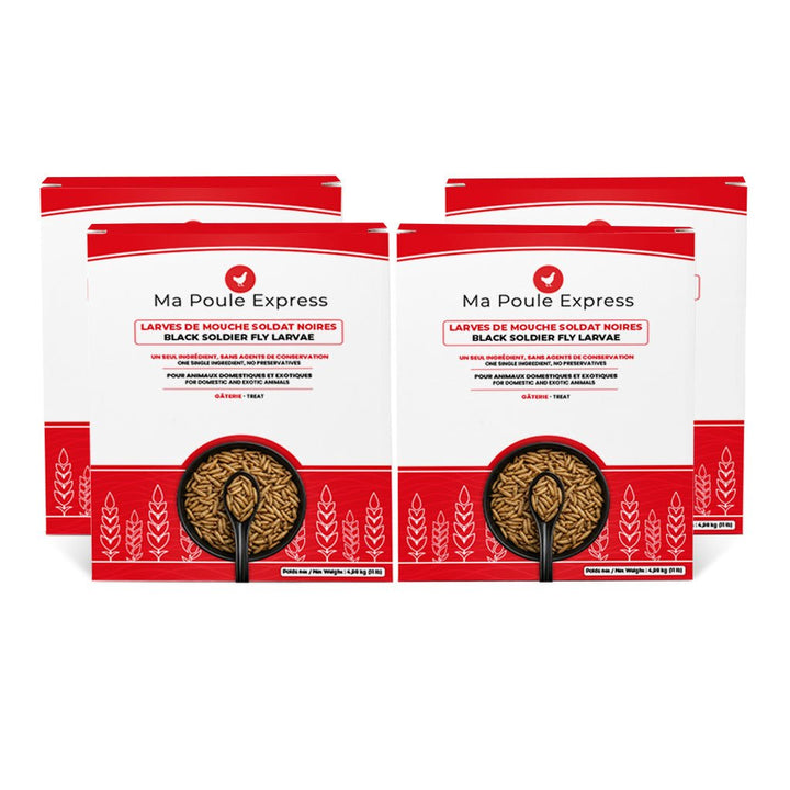 Larves de Mouche Soldat Noire Séchées - Ma Poule Express™ - Ma Poule Express