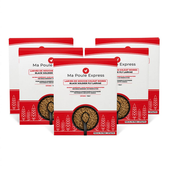 Larves de Mouche Soldat Noire Séchées - Ma Poule Express™ - Ma Poule Express