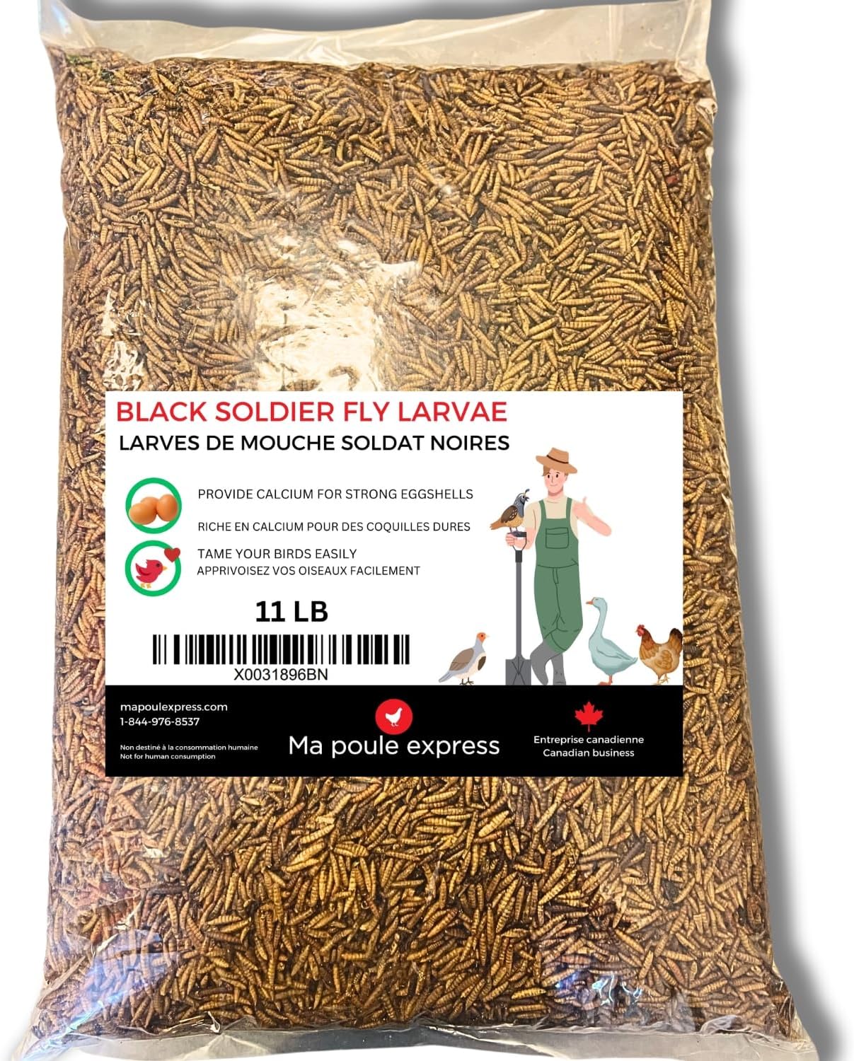 Larves de Mouche Soldat Noire Séchés - Ma Poule Express