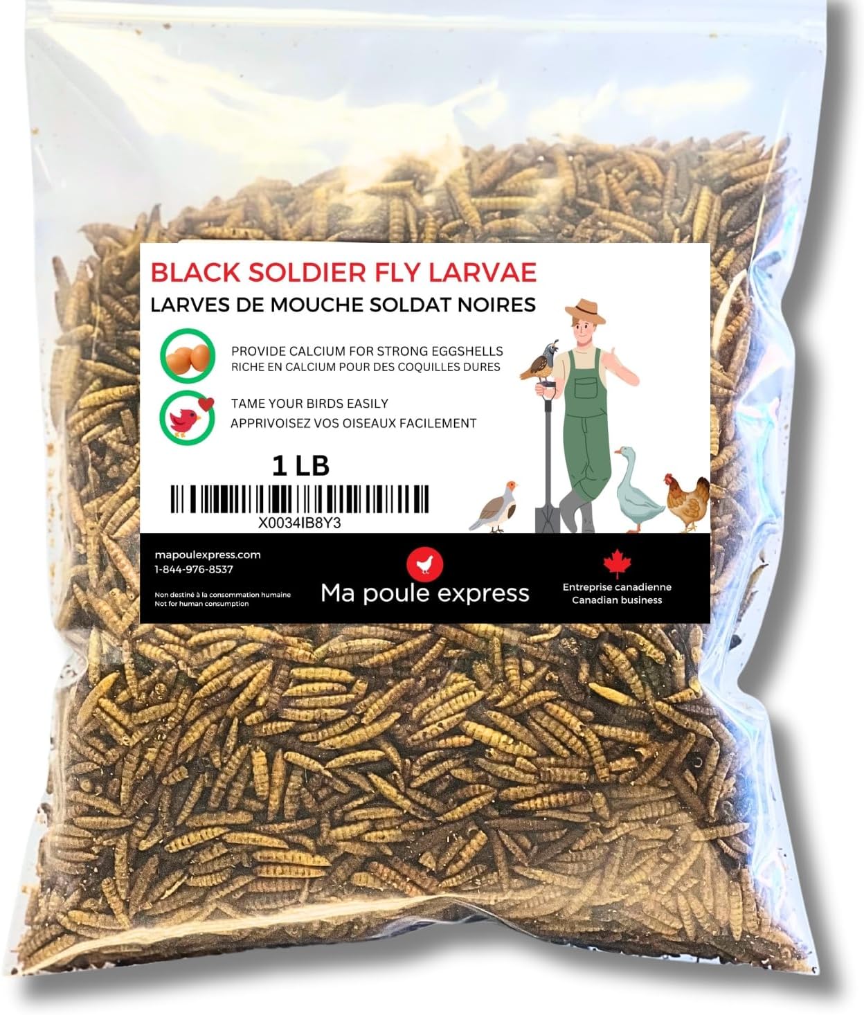 Larves de Mouche Soldat Noire Séchés - Ma Poule Express