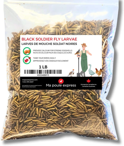 Larves de Mouche Soldat Noire Séchés - Ma Poule Express