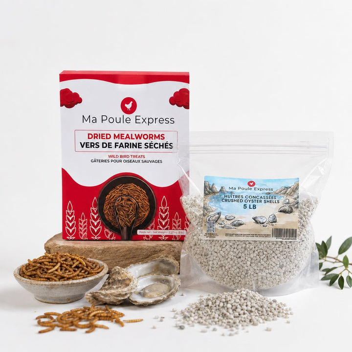 Le Duo Gagnant Pour Oiseaux : Vers de Farine Séchés (5 lbs) + Huîtres Concassées (5 lbs) – Offre Spéciale de Juin - Ma Poule Express