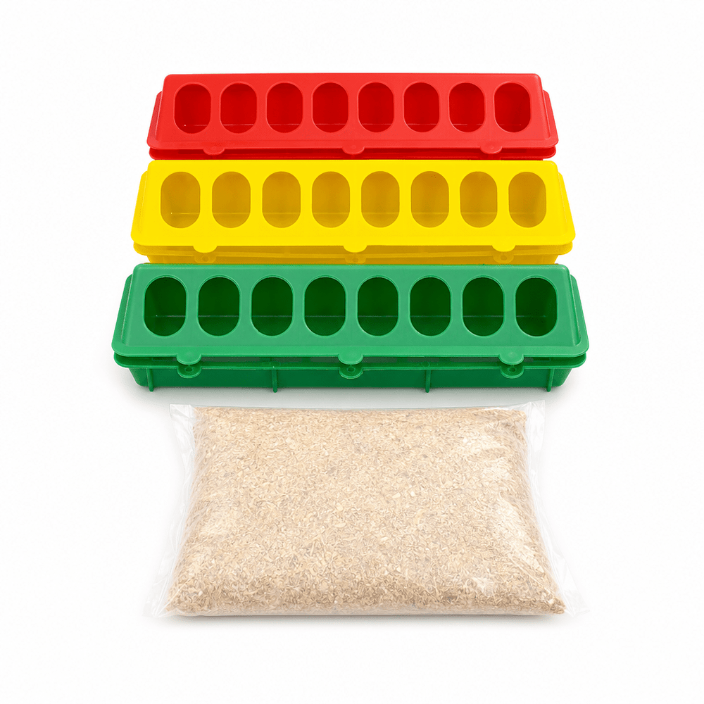 Lot de 3 Mangeoires Linéaires à Trous pour Poussins et Volailles + Sac de moulée - Ma Poule Express
