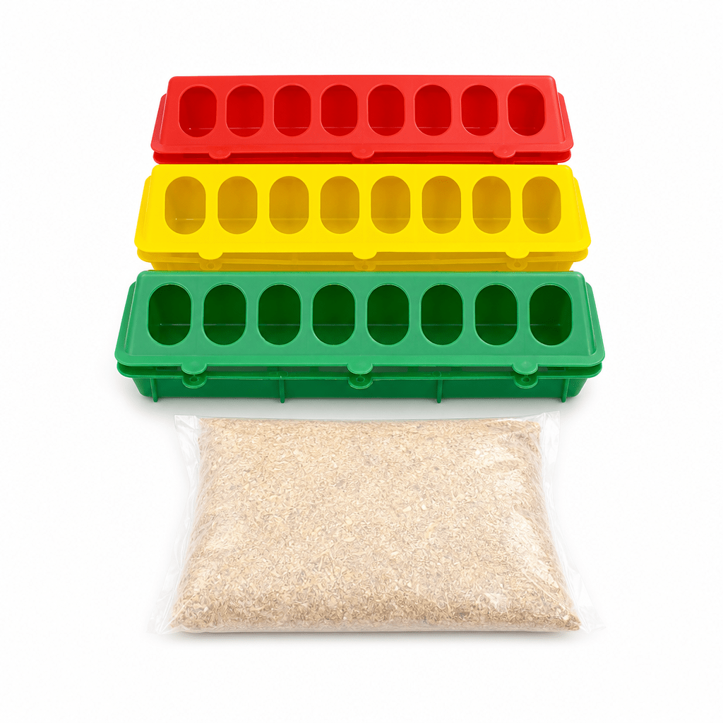 Lot de 3 Mangeoires Linéaires à Trous pour Poussins et Volailles + Sac de moulée - Ma Poule Express