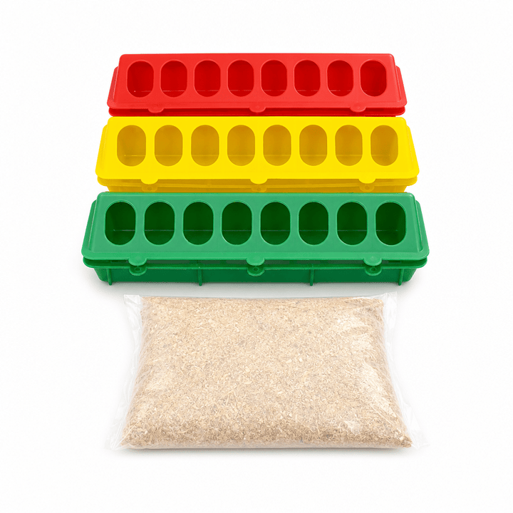 Lot de 3 Mangeoires Linéaires à Trous pour Poussins et Volailles + Sac de moulée - Ma Poule Express