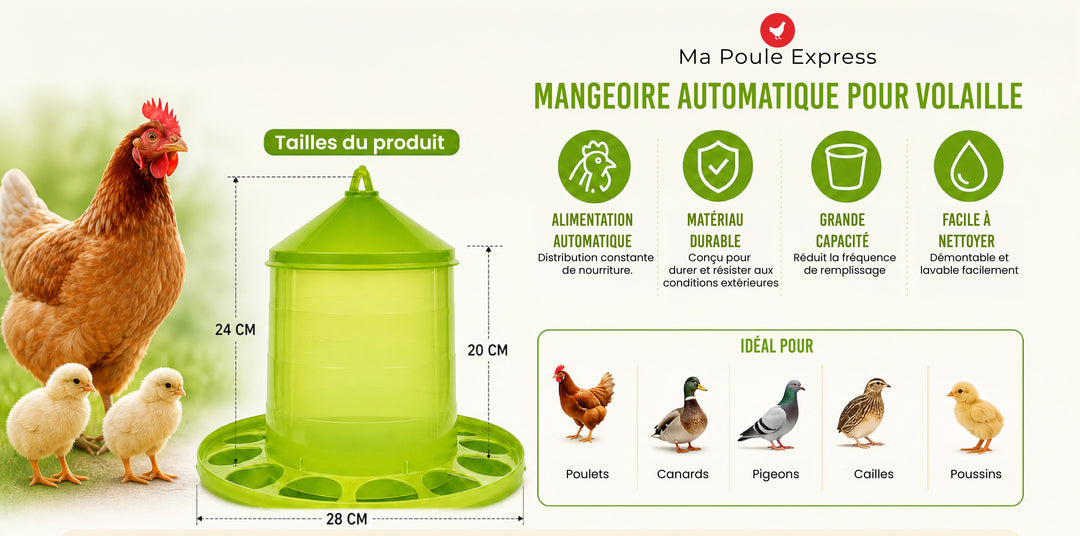 Mangeoire Haute Capacité Ma Poule Express – Alimentation Saine et Gain de Temps pour votre Basse - Cour - Ma Poule Express