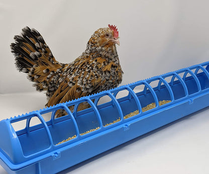 Mangeoire NO PERCH - Ma Poule Express