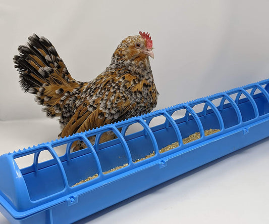 Mangeoire NO PERCH - Ma Poule Express
