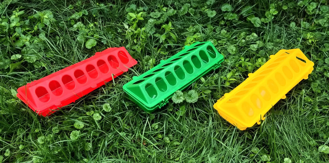 Mangeoires à poussins - Ma Poule Express