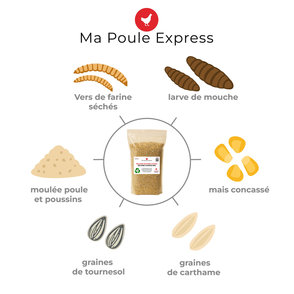 Mélange Seconde Chance – Second Chance Mix 10 Lbs , 4.54 Kg - Ma Poule Express