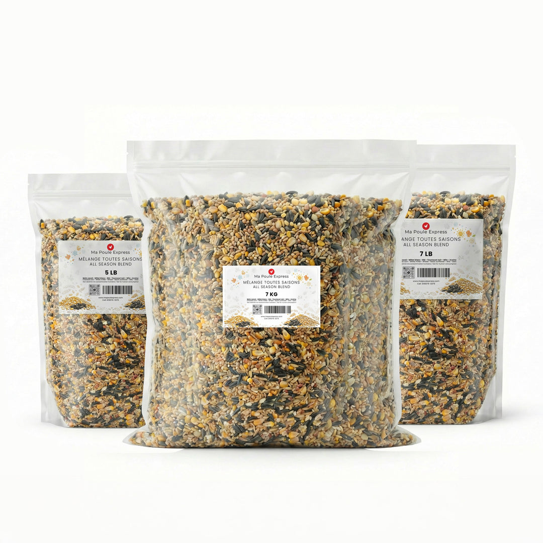 Mélange Toutes Saisons - Oiseaux Sauvages - Ma Poule Express