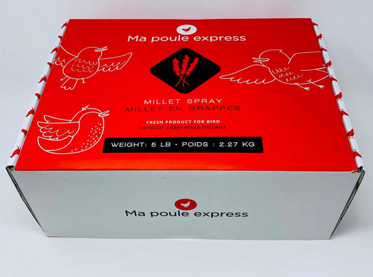 Millet Jaune en Grappes (PRÉ-VENTE/PRE-ORDER) - Ma Poule Express