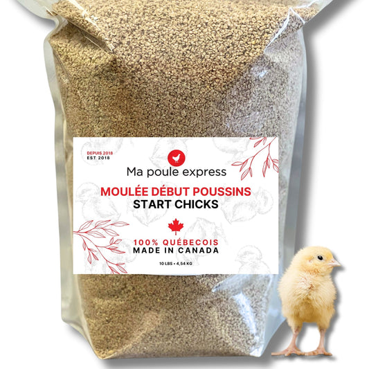 Moulée Début Doussins Enrichie Oméga-3 - Ma Poule Express