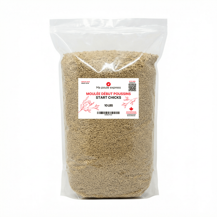 Moulée Début Poussins Enrichie Oméga - 3 - Ma Poule Express