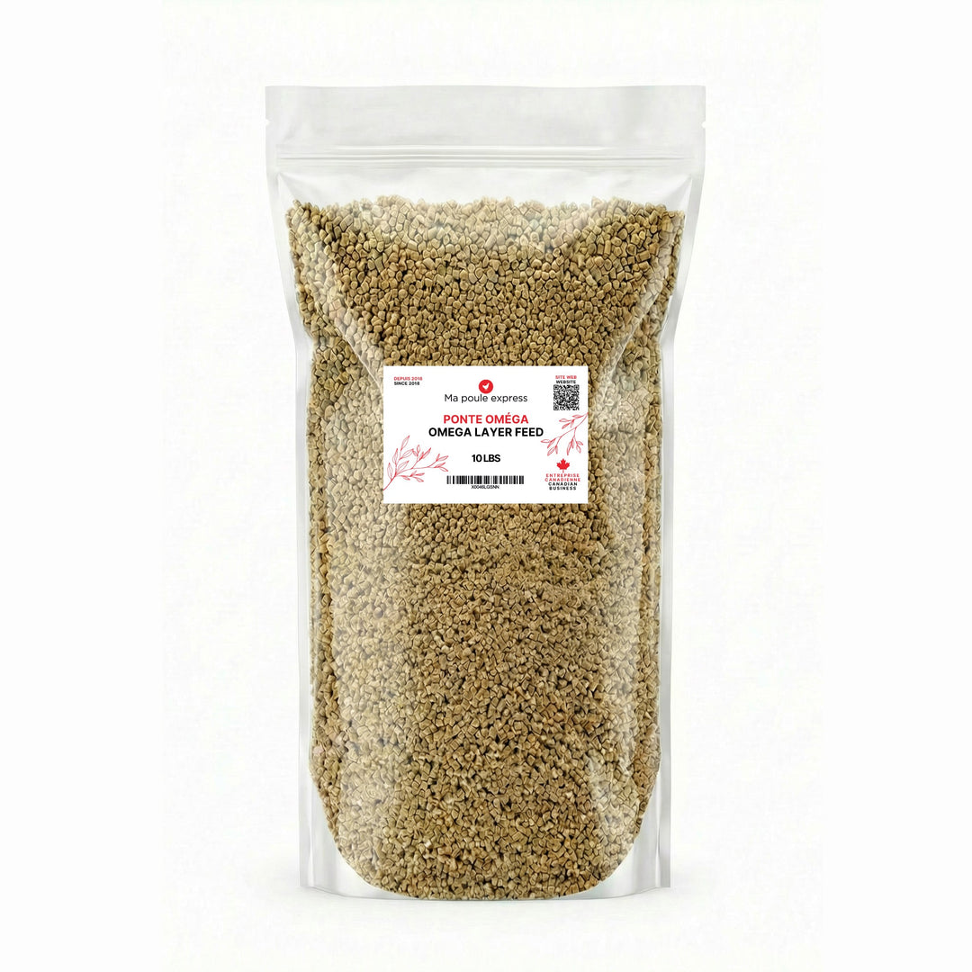 Moulée Ponte Poules Pondeuses 10 LBS - Ma Poule Express