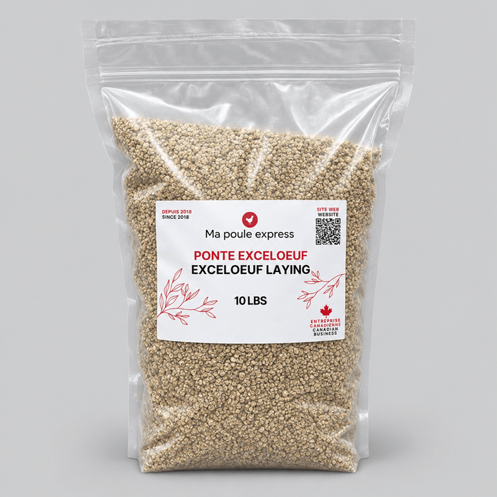 Moulée pour Poules et Poussins – 5 Formules au Choix | Sac de 10 lb - Ma Poule Express