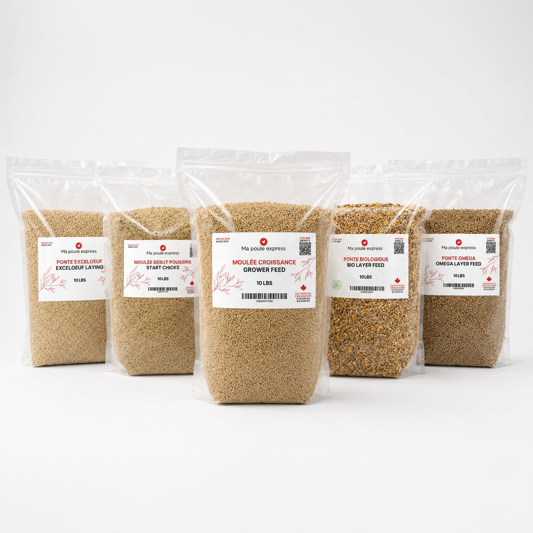 Moulée pour Poules et Poussins – 5 Formules au Choix | Sac de 10 lb - Ma Poule Express