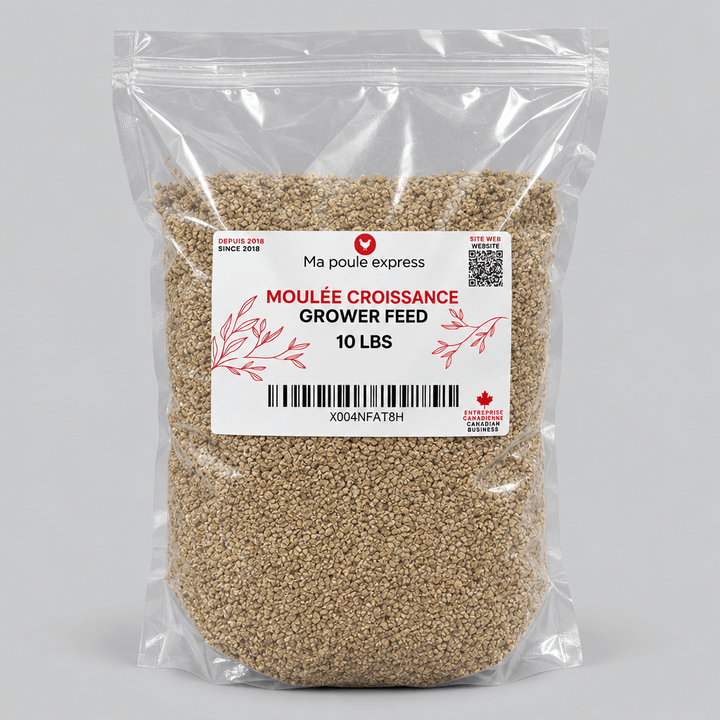 Moulée pour Poules et Poussins – 5 Formules au Choix | Sac de 10 lb - Ma Poule Express