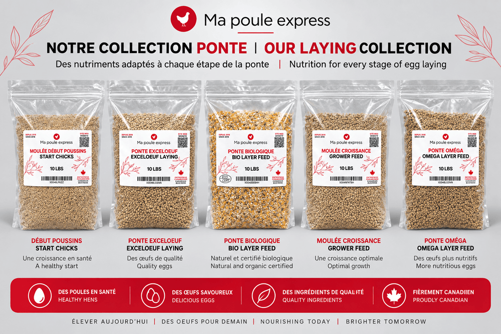 Moulée pour Poules et Poussins – 5 Formules au Choix | Sac de 10 lb - Ma Poule Express