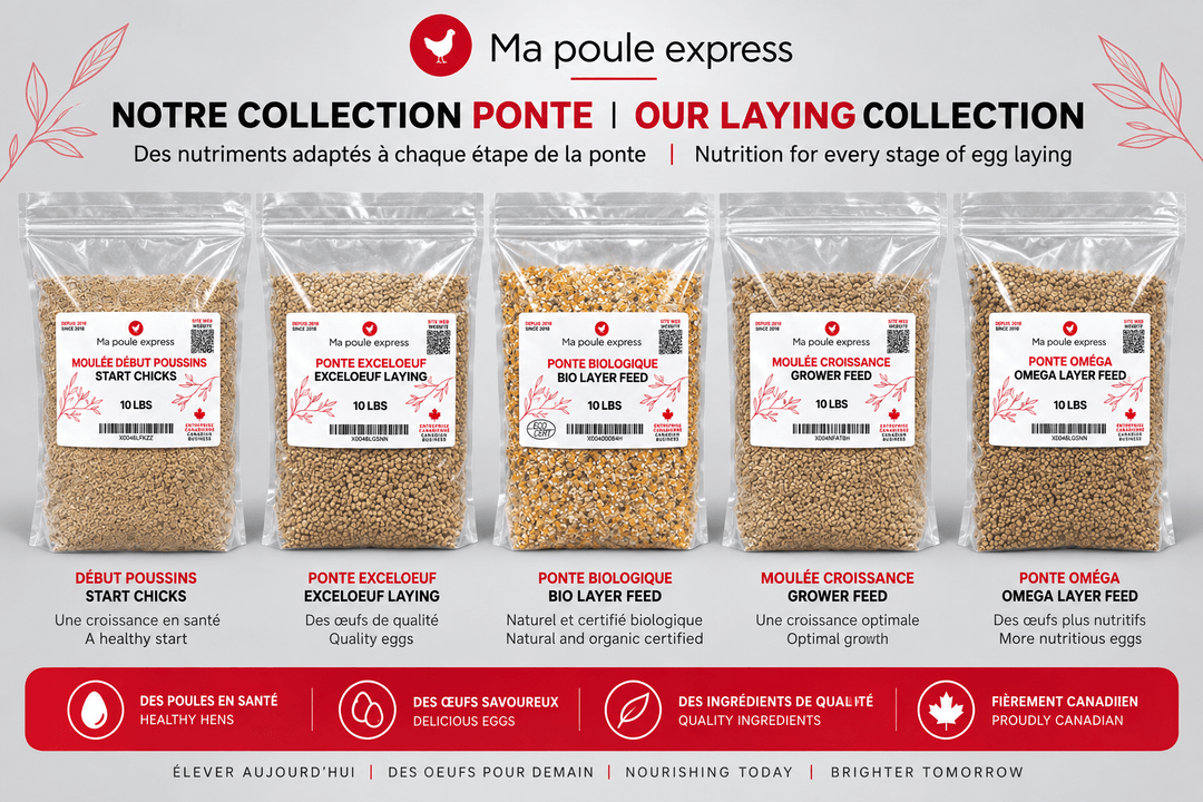 Moulée pour Poules et Poussins – 5 Formules au Choix | Sac de 10 lb - Ma Poule Express