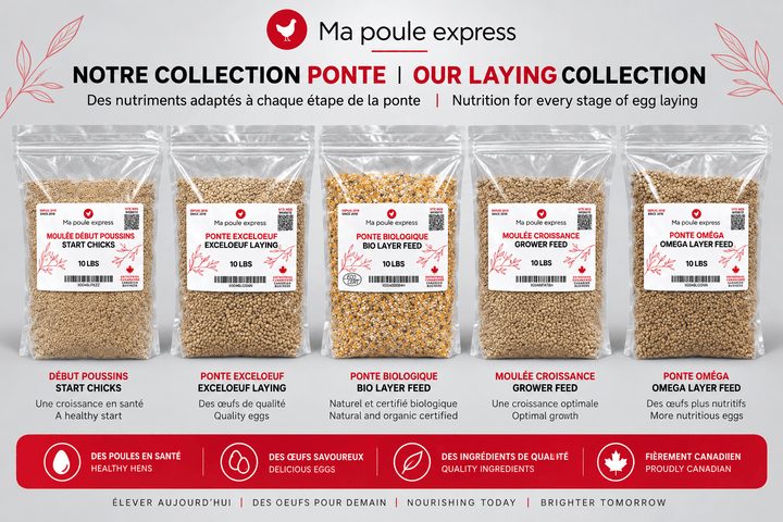 Moulée pour Poules et Poussins – 5 Formules au Choix | Sac de 10 lb - Ma Poule Express
