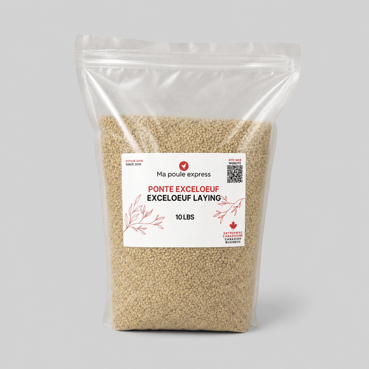 Moulée pour Poules et Poussins – 5 Formules au Choix | Sac de 10 lb - Ma Poule Express